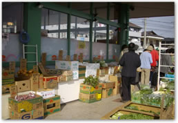 生産者コーナー