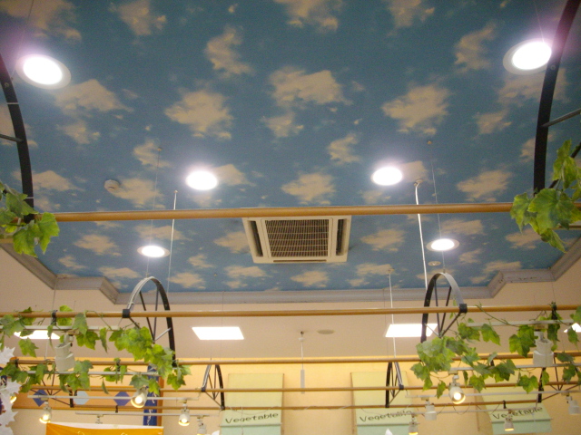 IMGP4581.JPG
