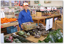 生産者コーナー