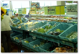 生産者コーナー