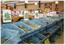 生産者コーナー