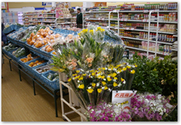 生産者コーナー